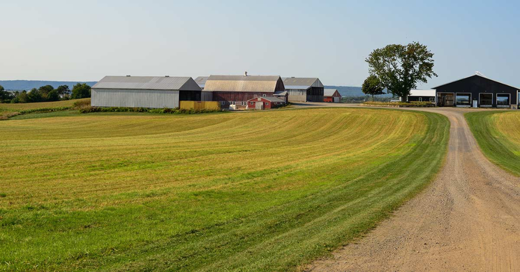 Grading Before Driveway 3bw Excavation