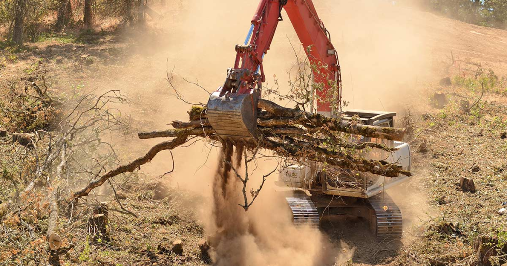 Land Clearing Cedar Mesquite Removal Erath County 3b Excavation