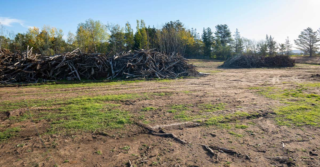 Brush and cedar tree clearing in Central Texas by 3BW Excavation & Dirt Work