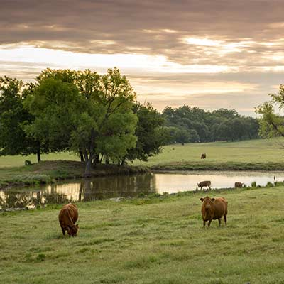 Excavation Glen Rose Texas 3BW Excavation 2 Excavation Glen Rose Texas 3BW Excavation 2
