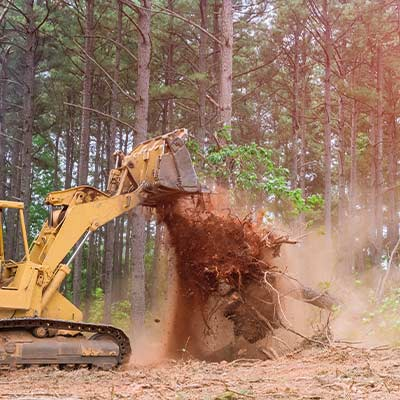Excavation Hico Texas 3BW Excavation 1
