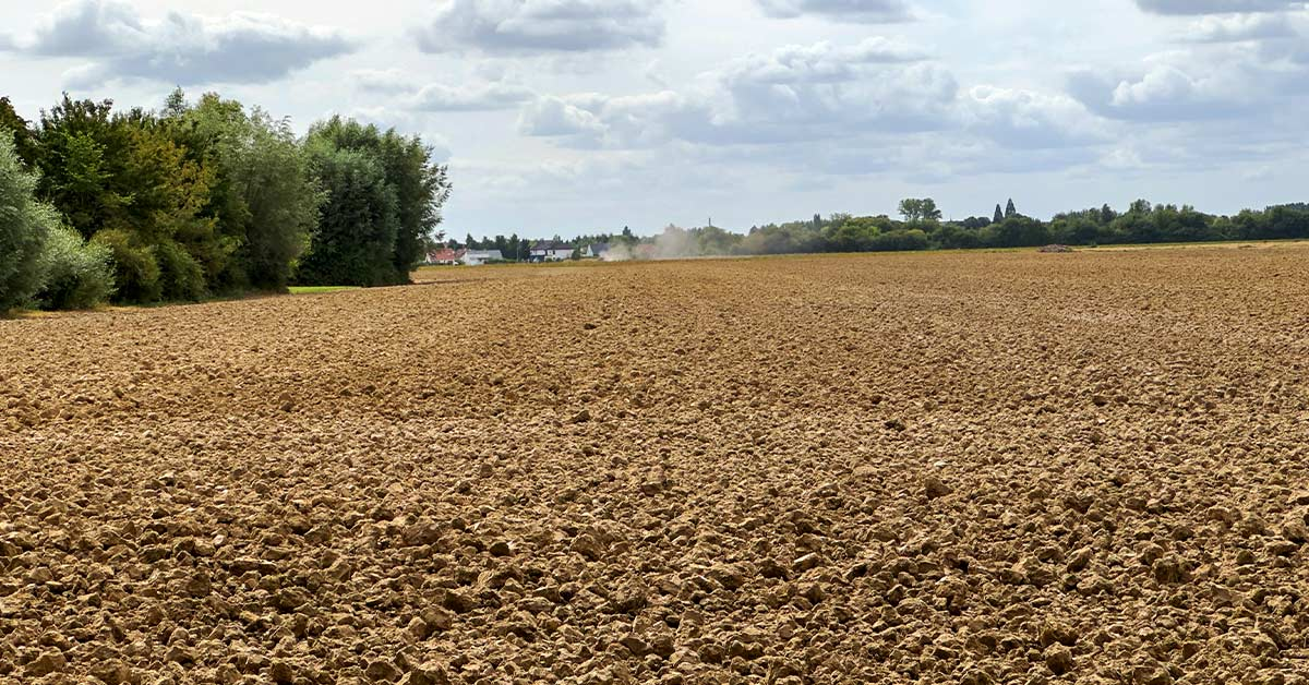 Excavation Mineral Wells Texas 3BW Excavation And Dirt Work