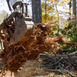 Land Clearing Erosion Control Bluff Dale Erath County