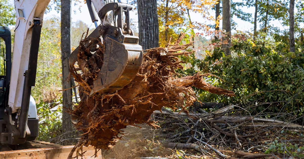 Land Clearing Erosion Control Bluff Dale Erath County