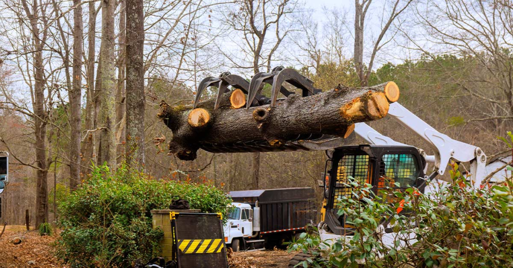Land Clearing Vs Excavation Weatherford Tx Differences