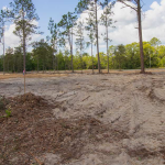 Land Clearing Weatherford Tx Cost Process