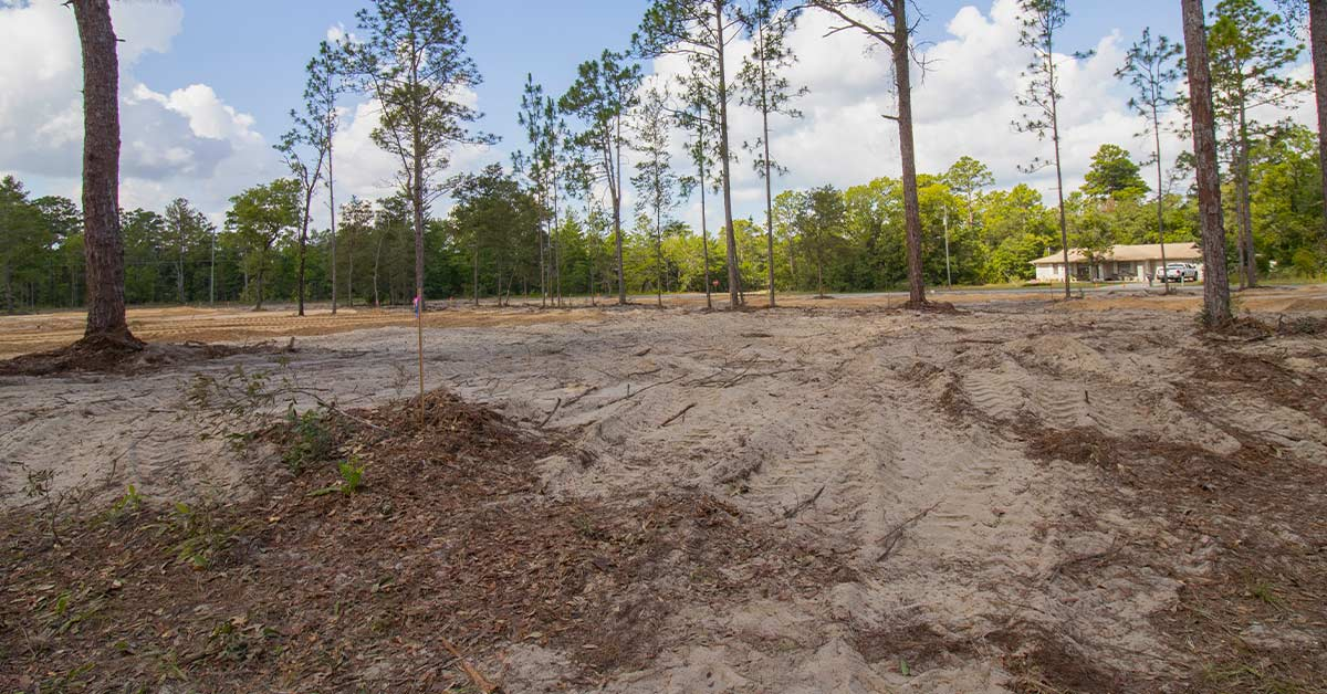 Land Clearing Weatherford Tx Cost Process