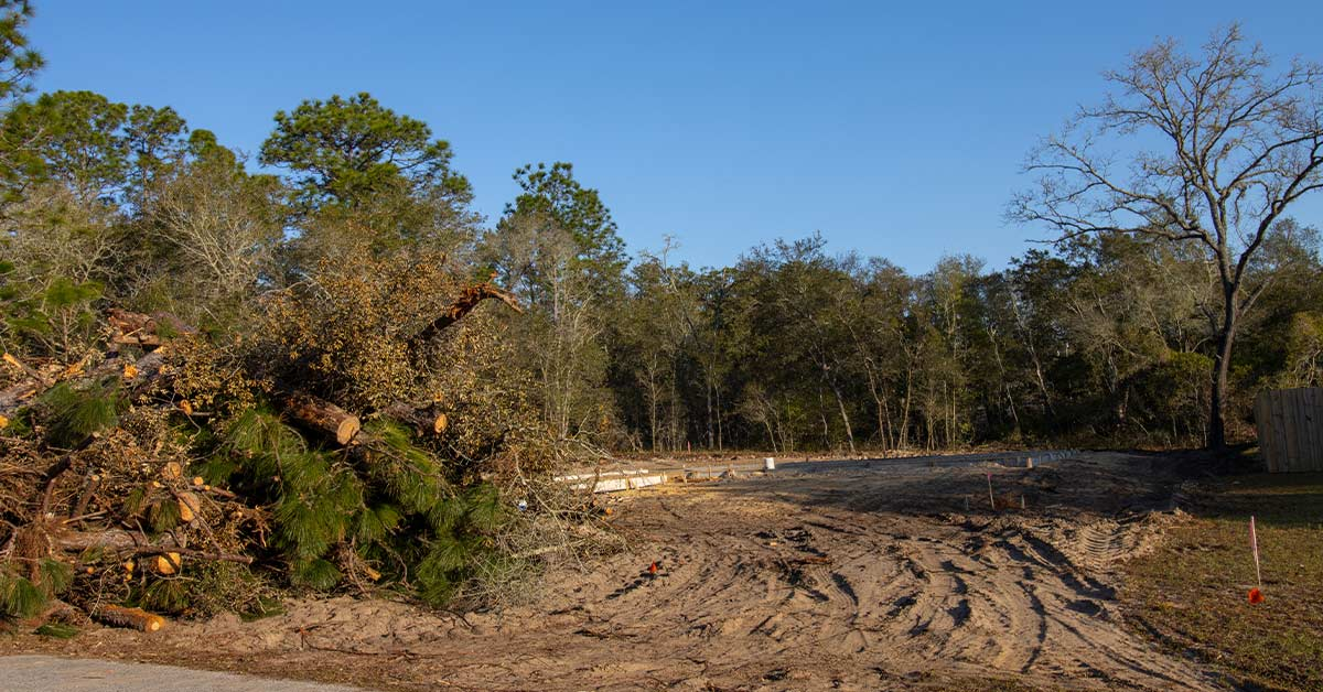 Land Clearing Weatherford Tx Site Preparation Brush Removal