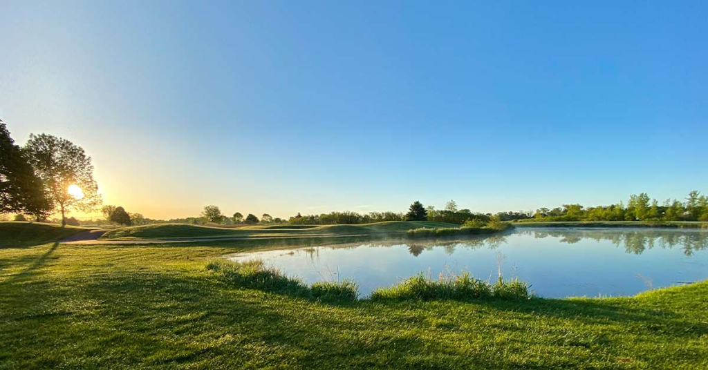 Pond Sediment Removal Texas
