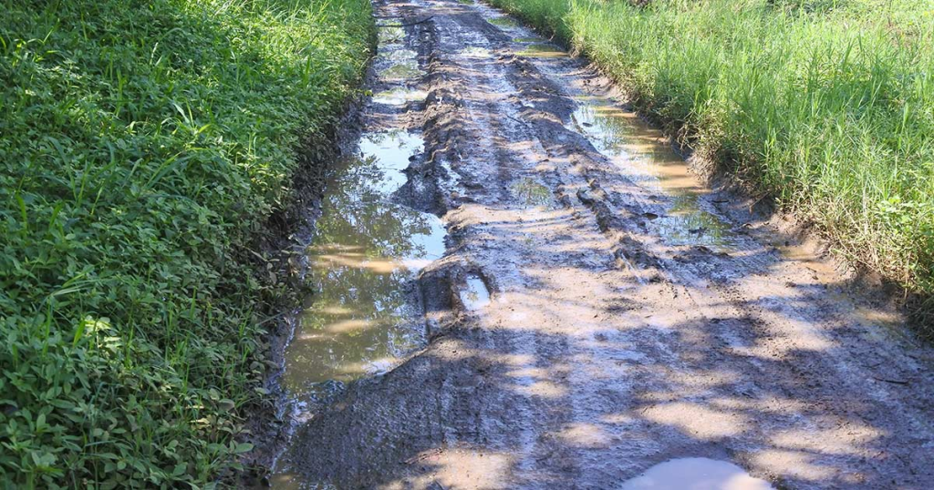 Drainage Problems Rural Property Texas