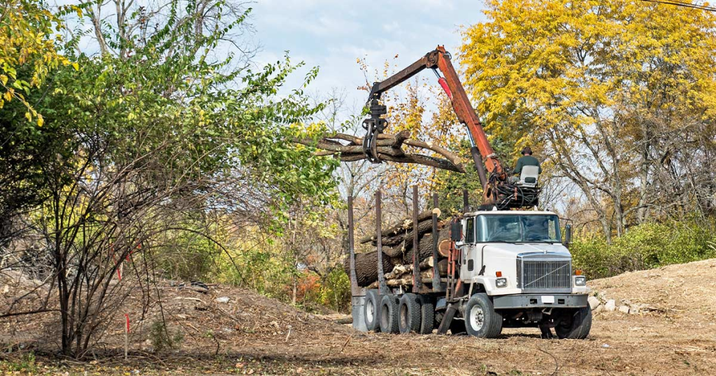 Get Quote Land Clearing Springtown