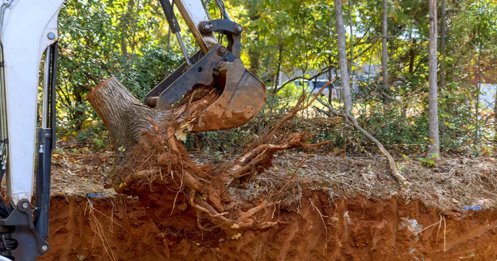 Land Clearing Cost Springtown Tx