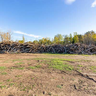 Professional Excavation Springtown Tx