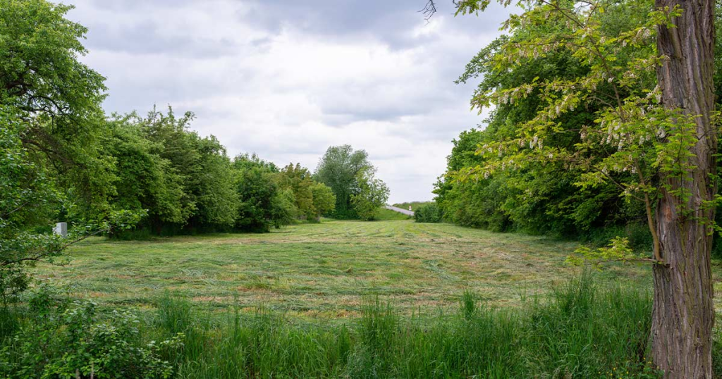 Property Clearing Before Building Springtown